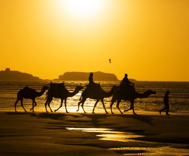 Pengertian puasa syawal