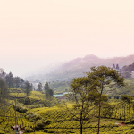 tempat wisata lebaran di bogor