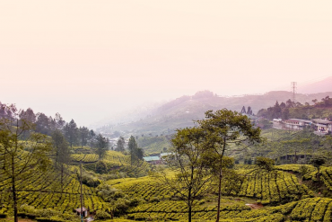 tempat wisata lebaran di bogor