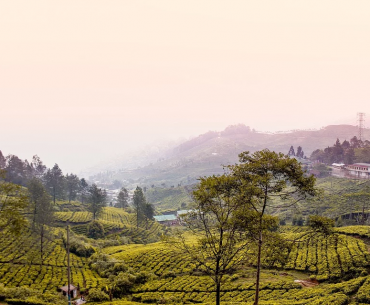 tempat wisata lebaran di bogor